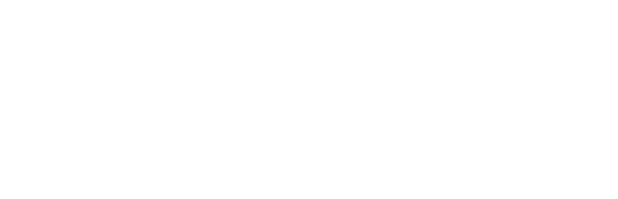 Visa-Logo-White-transparent